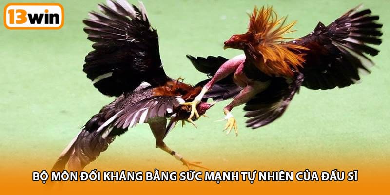 Bộ môn đối kháng bằng sức mạnh tự nhiên của đấu sĩ